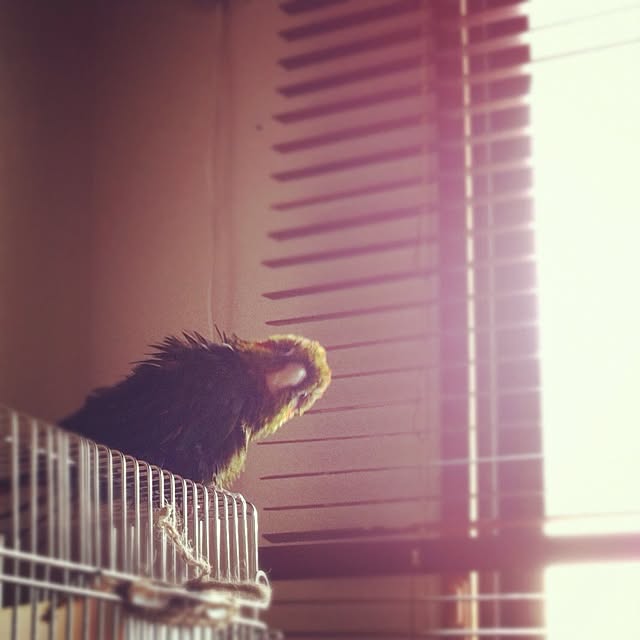 165さんの実例写真
