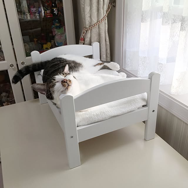 yuchiさんの実例写真