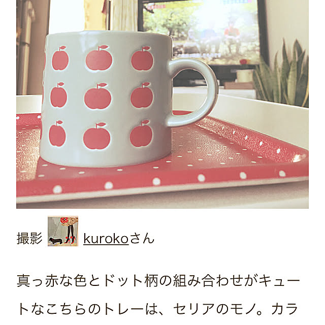 kurokoさんの実例写真