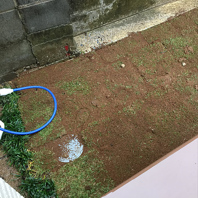 masaさんの実例写真