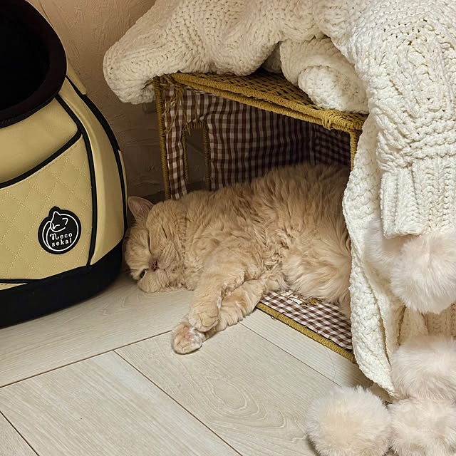 naokoさんの部屋