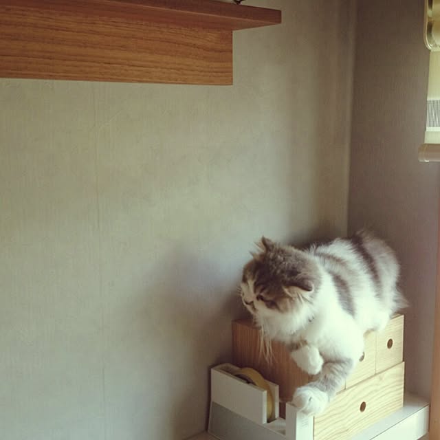 montboo5さんの実例写真