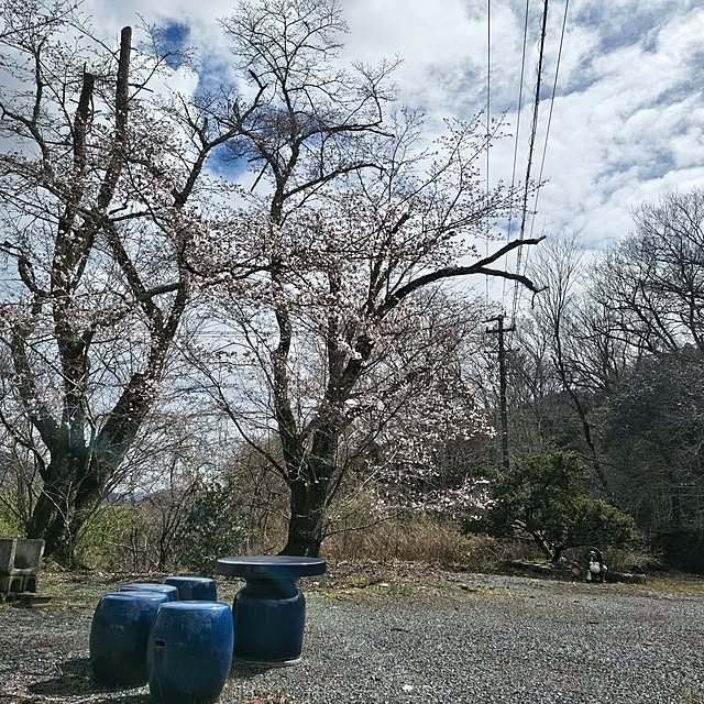 Rubiconさんの部屋