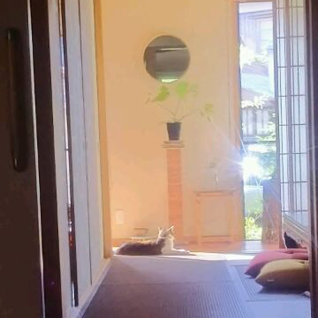 実例写真