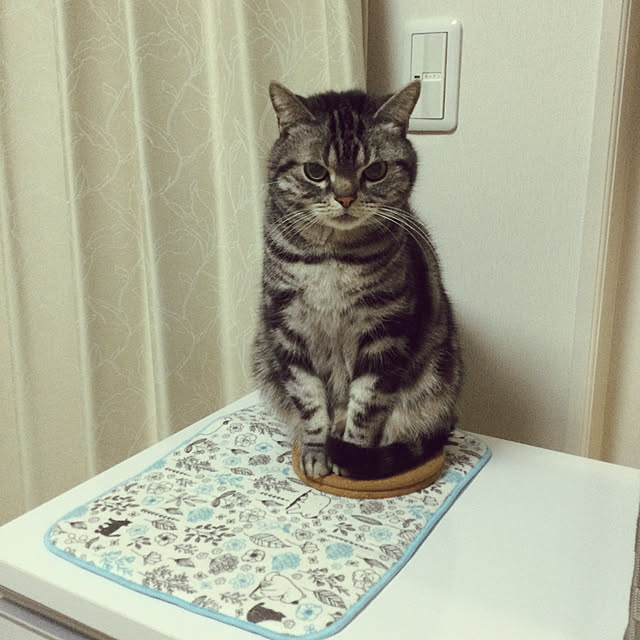 richanさんの実例写真