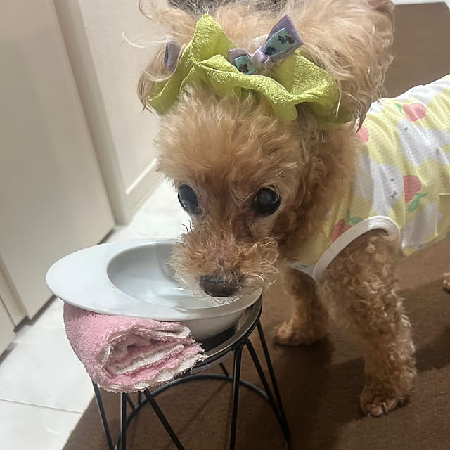 monokoさんの実例写真