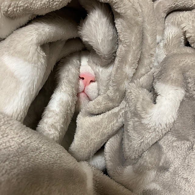 keiさんの実例写真