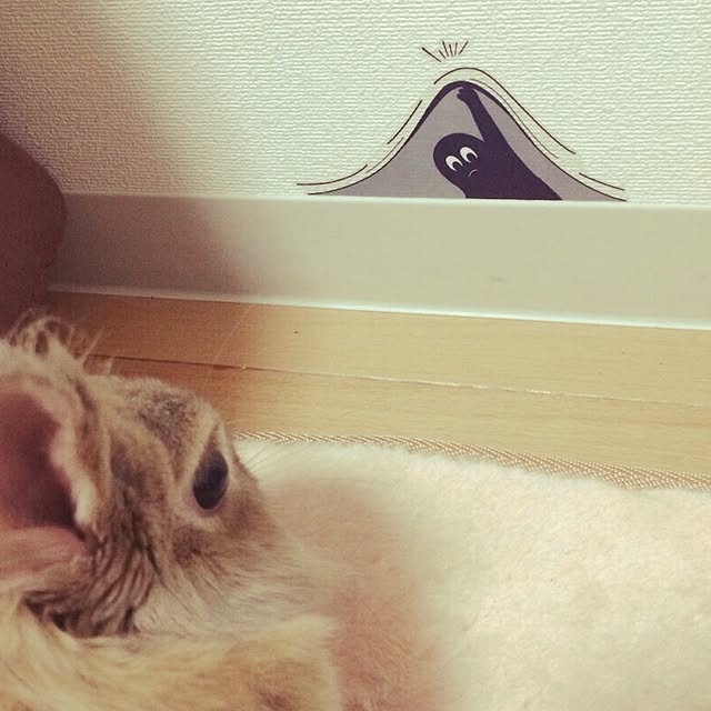 woyukiさんの実例写真