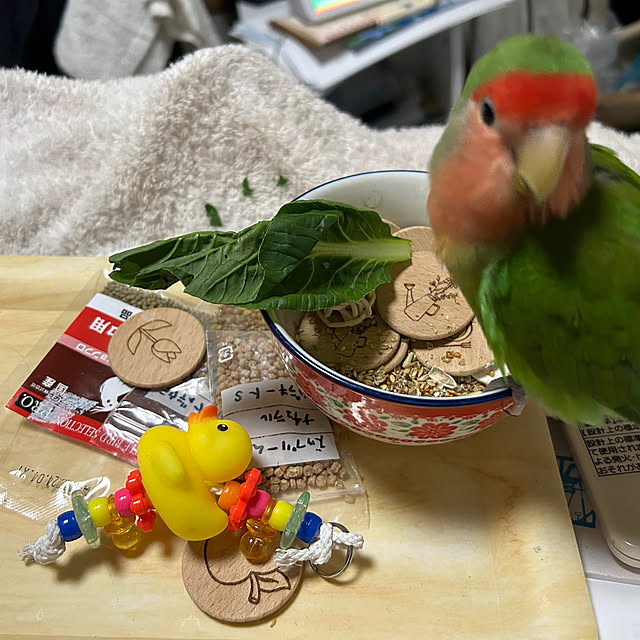 t.and.sakuraさんの実例写真