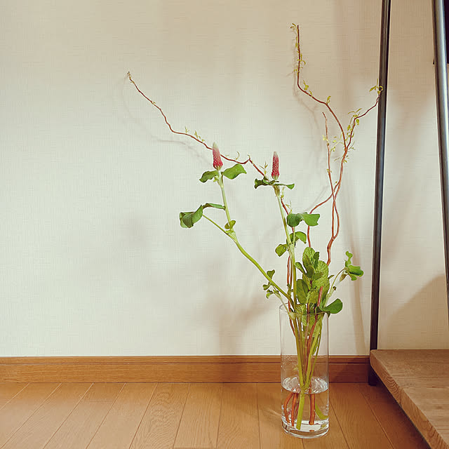 rahiyuさんの実例写真