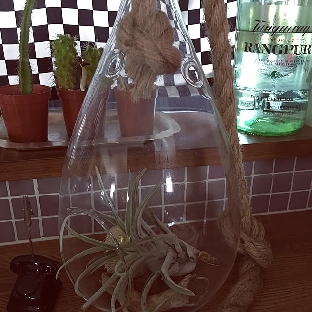 cocoさんの実例写真