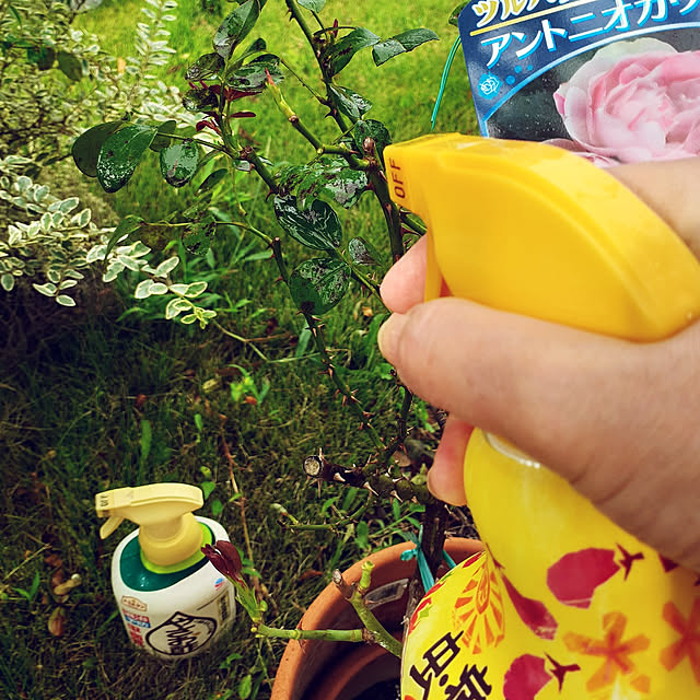 prepreさんの実例写真