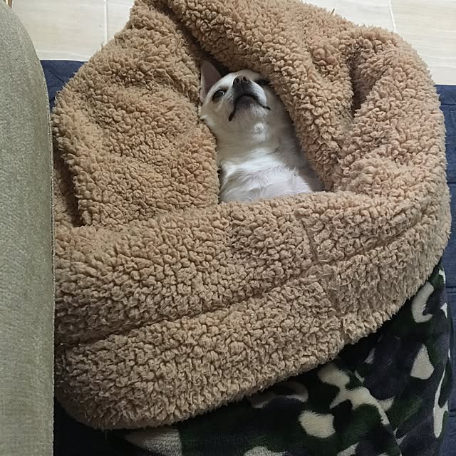 ani55さんの実例写真
