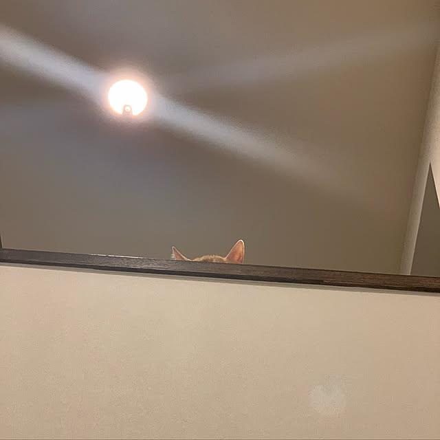 mikeume7さんの実例写真