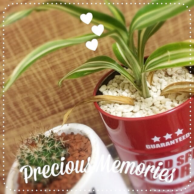 natuneさんの実例写真