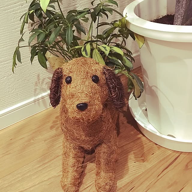 chapepoさんの実例写真