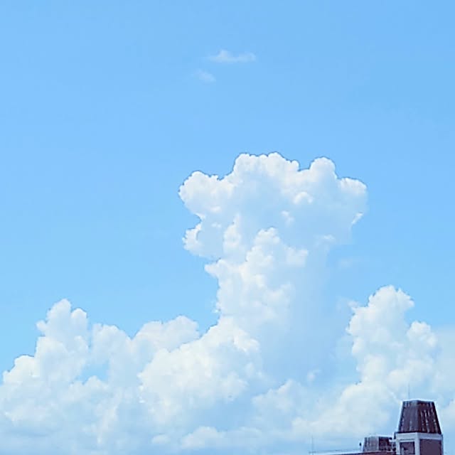 citsuraeさんの部屋