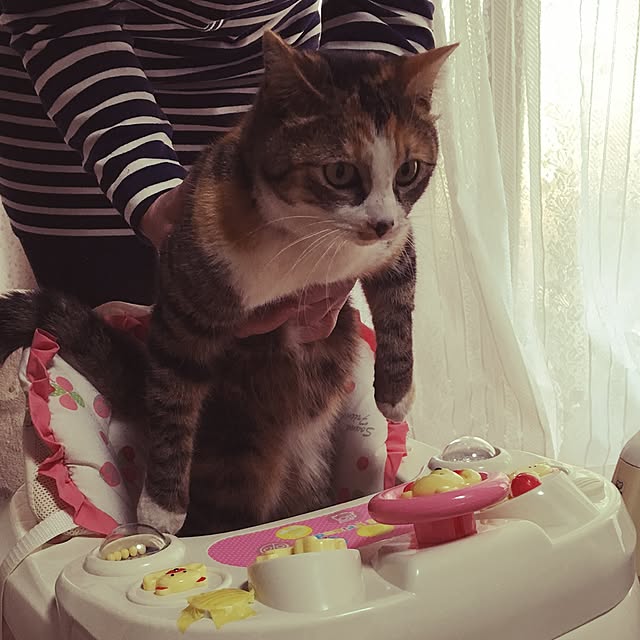 nmeeeさんの実例写真