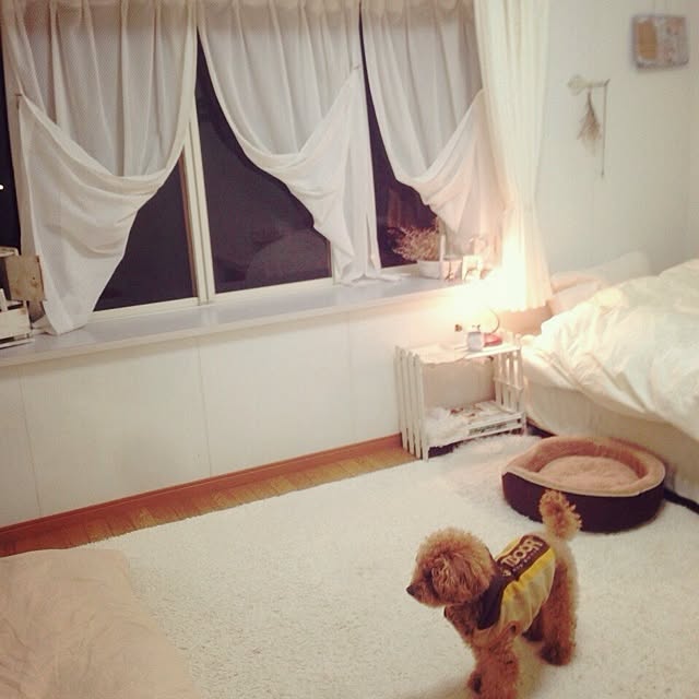 rookuさんの実例写真
