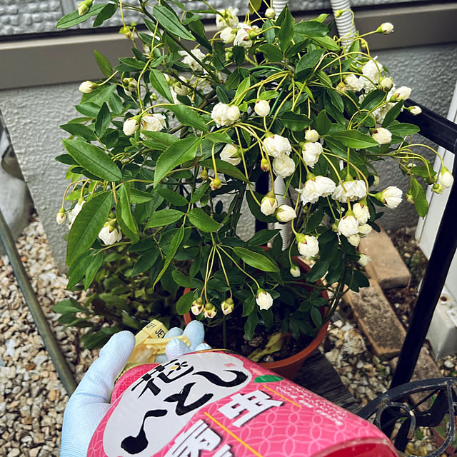 yukarin-gardenさんの部屋
