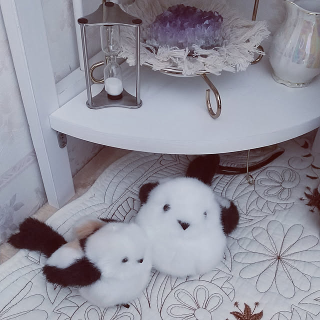 Miuさんの実例写真