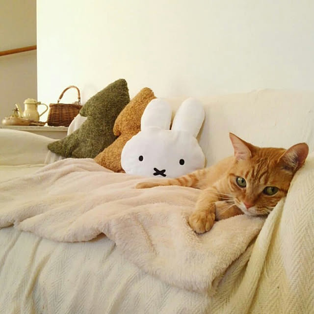 mayutan.さんの実例写真
