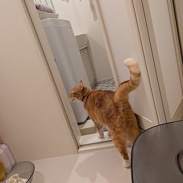 minnieさんの部屋