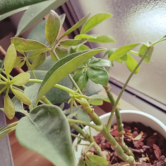 ruantaiさんの部屋
