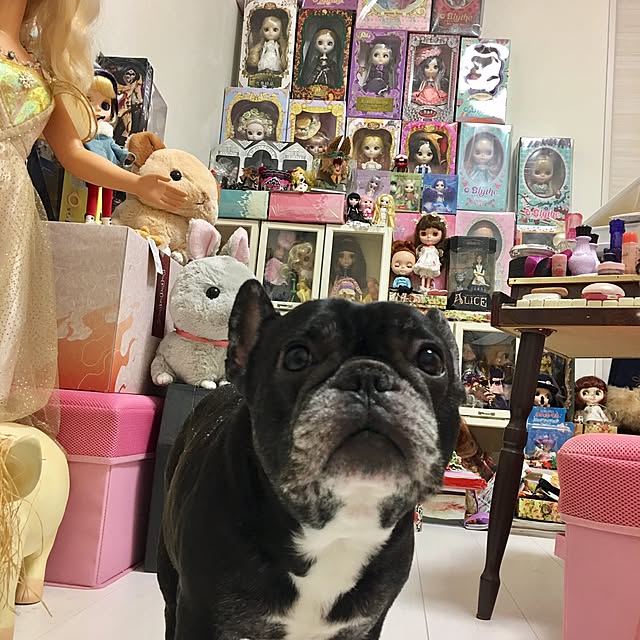実例写真