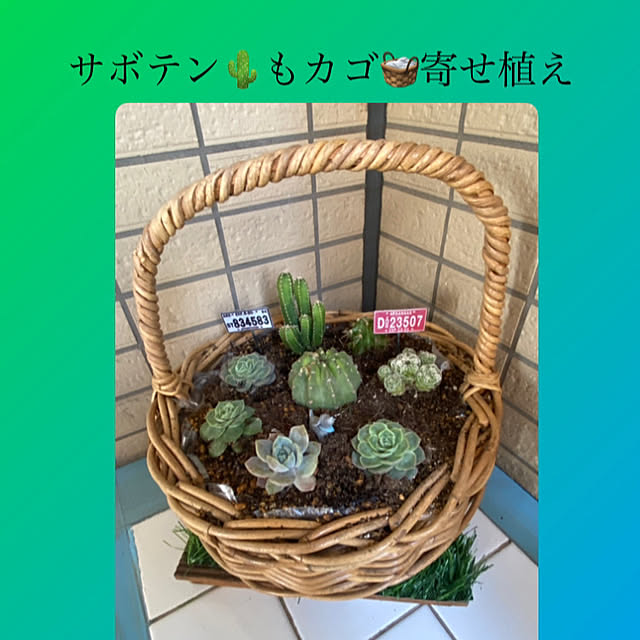 YuuKoさんの実例写真