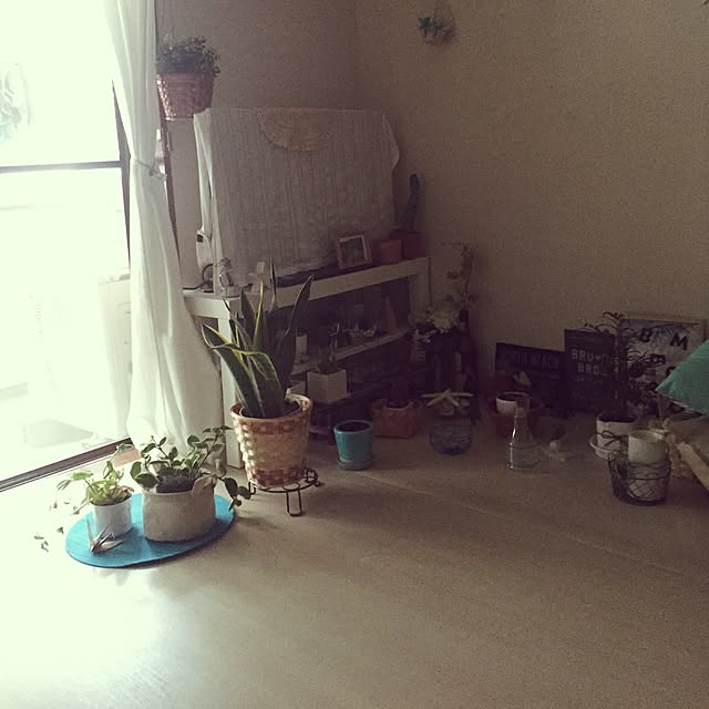 Hanaeさんの実例写真