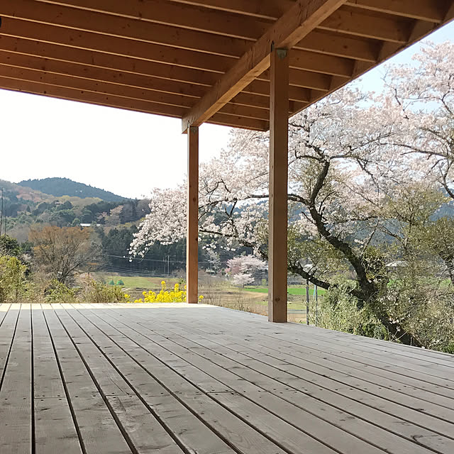 sakurasakuさんの実例写真