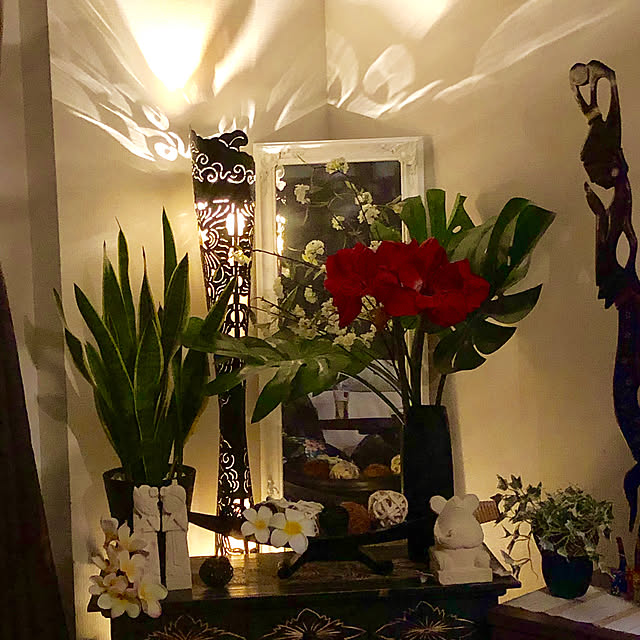 バリ雑貨/リサイクルショップで購入/照明好き/お花大好き♡/観葉植物...などのインテリア実例 - 2019-05-06 10:37:17