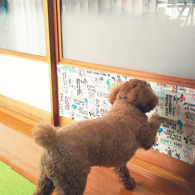 cherrycherryさんの実例写真