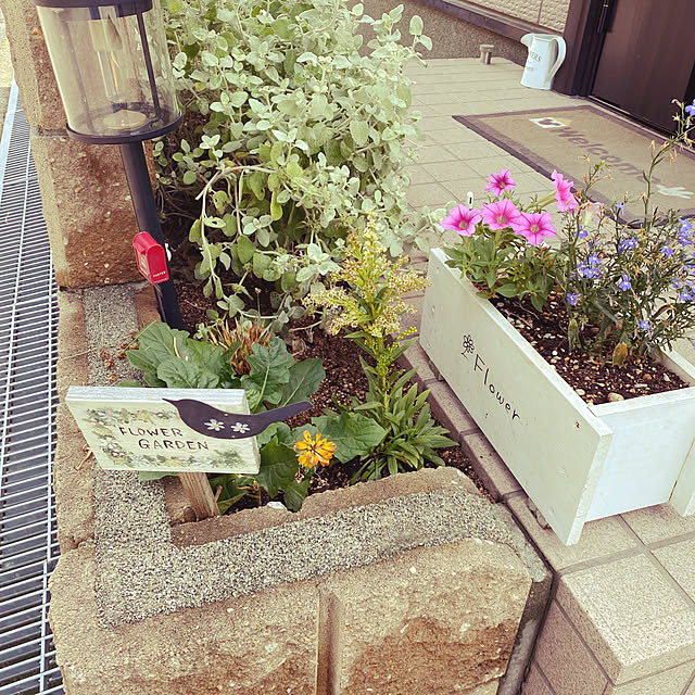 tocoさんの実例写真