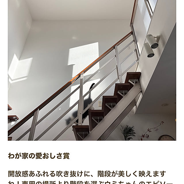 kojimasaさんの部屋