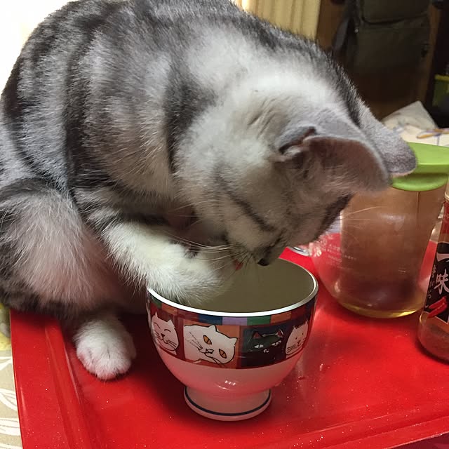 tanutanさんの実例写真