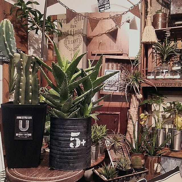 ugさんの実例写真
