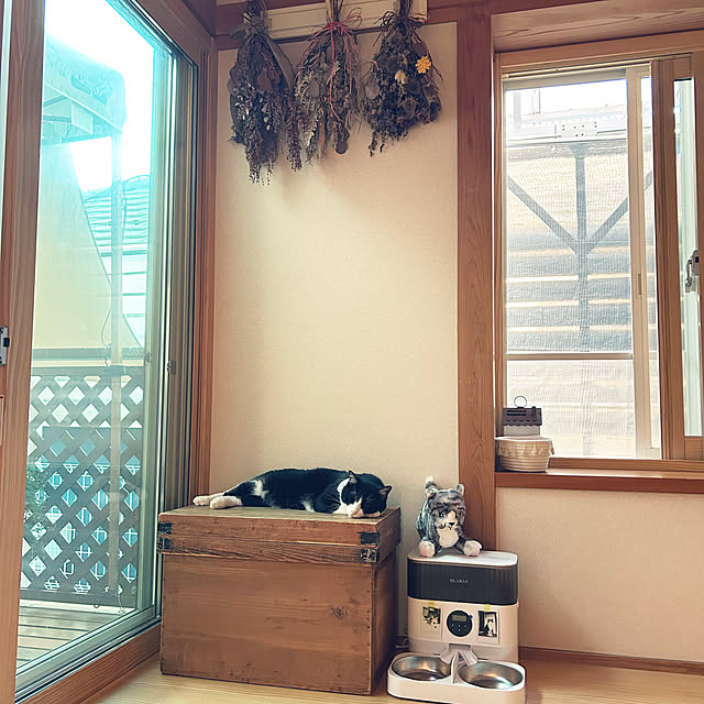 haruさんの実例写真