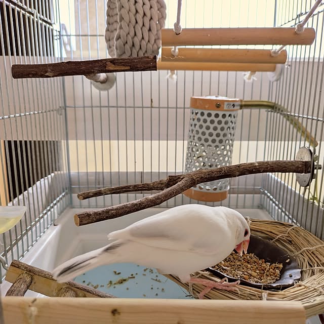 escargotさんの部屋