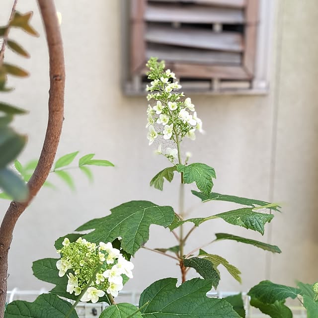 junさんの部屋