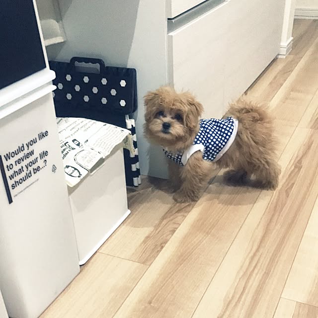 ikt.tamaさんの実例写真