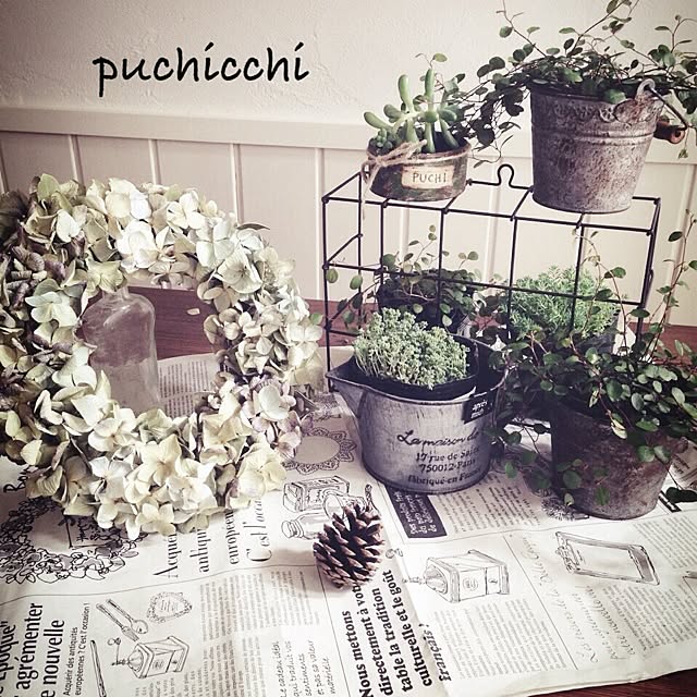 puchicchiさんの実例写真