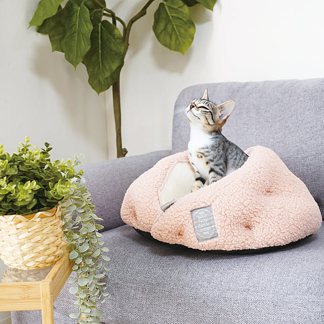 SUNROCK_in_Livingさんの実例写真