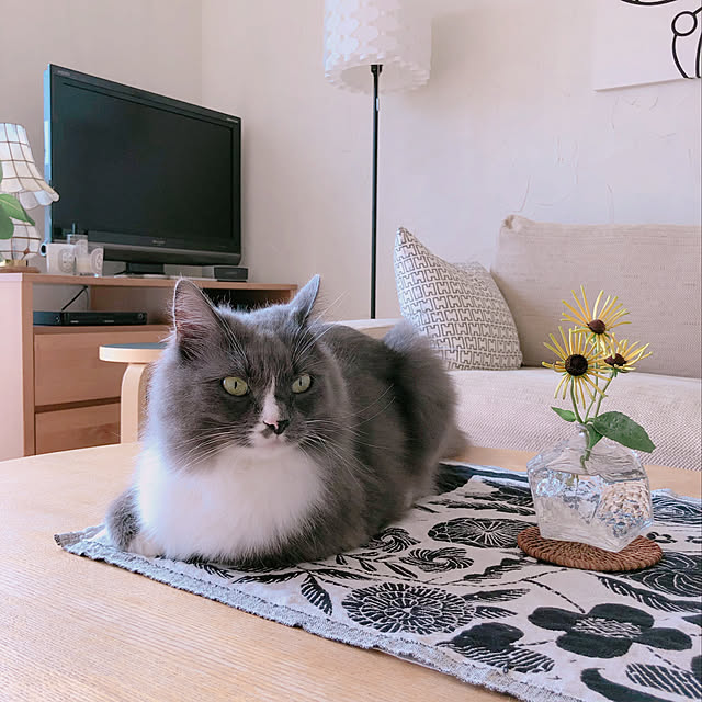 mangomilkさんの実例写真