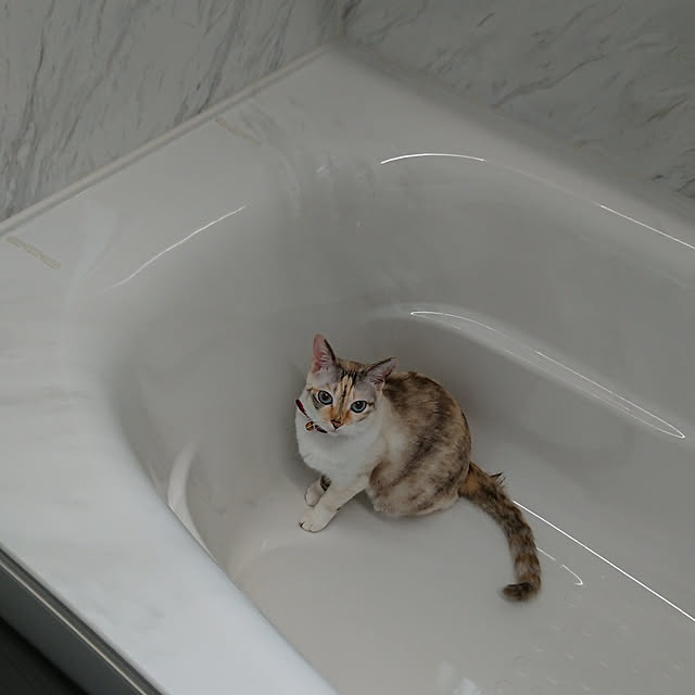 kohakuさんの実例写真