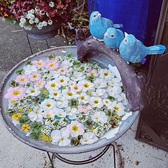 mocomocoさんの部屋