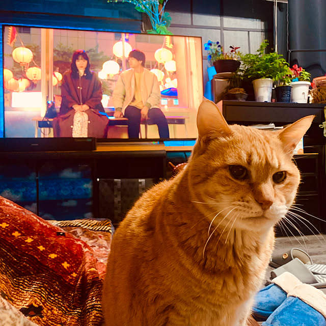 tututu0204さんの実例写真