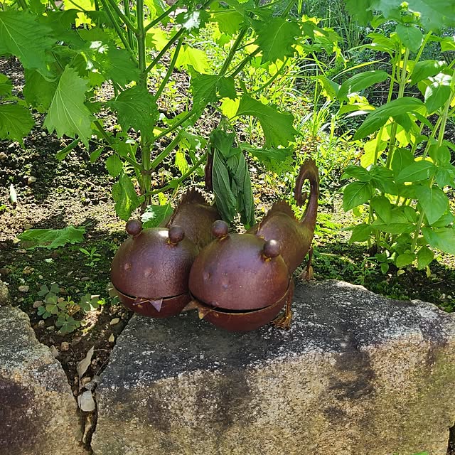 Rubiconさんの部屋