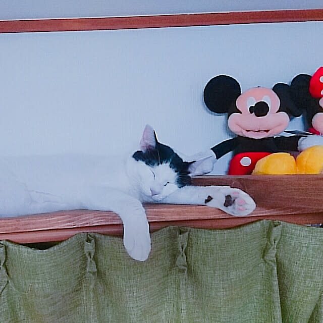 Maya.さんの実例写真